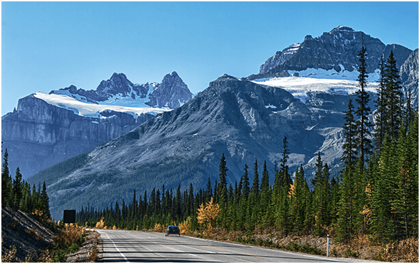 Icefields