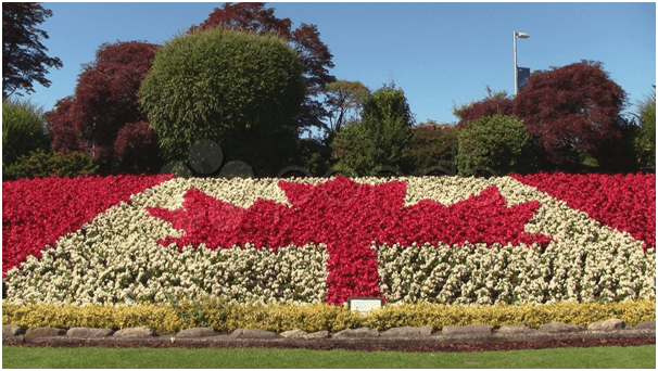 Canadian Flowers