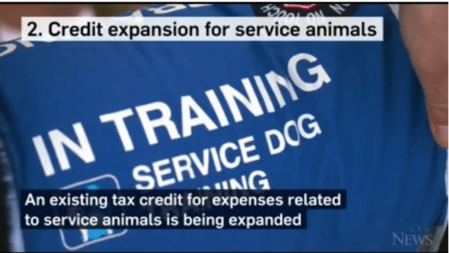 Service animals new tax rules