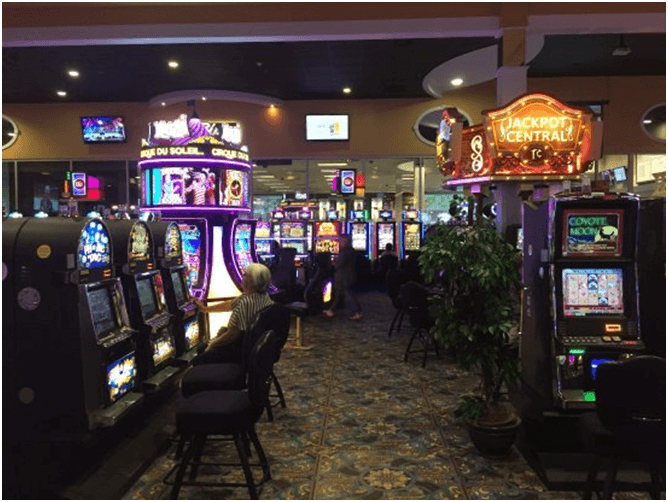 Treasure Cove Casino