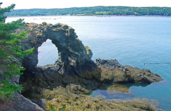 6 Reasons to Visit Grand Manan Island in Canada