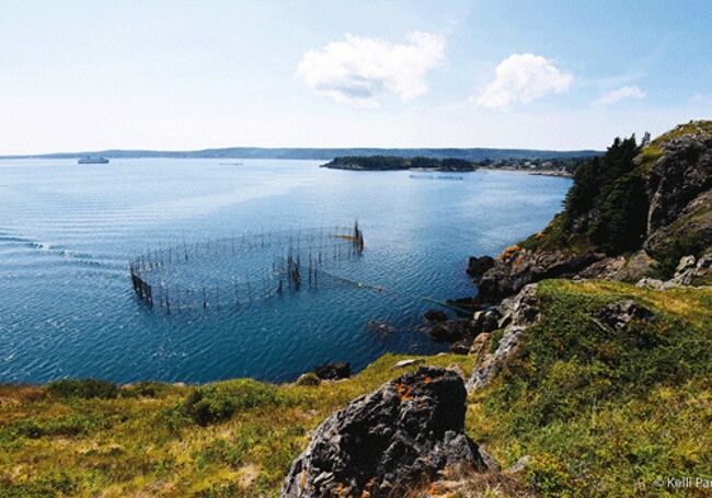 The largest island in the Bay of Fundy