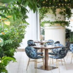 Top 7 Most Vibrant Restaurants in Vancouver