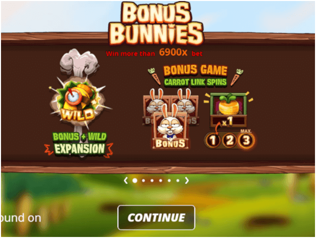 Bonus Bunnies game features