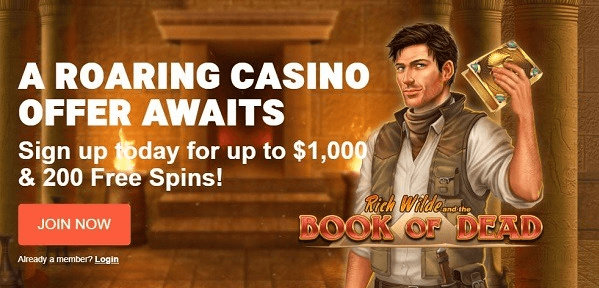 Leo Vegas Casino Book of Dead free spins