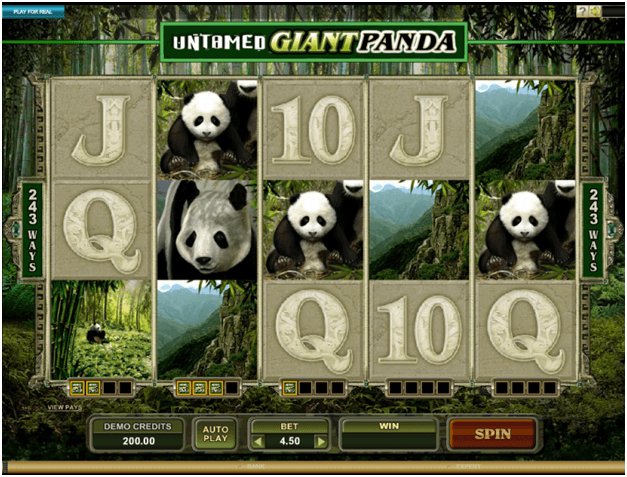 Untamed Giant Panda slots